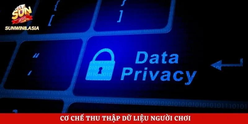 Cơ chế thu thập dữ liệu người chơi