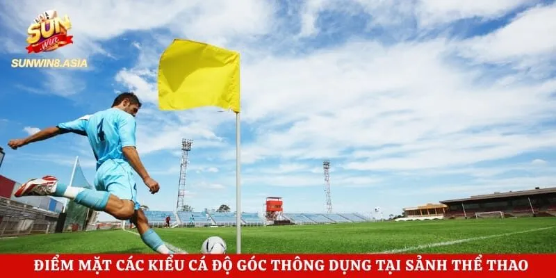 Điểm mặt các kiểu cá độ góc thông dụng tại sảnh thể thao