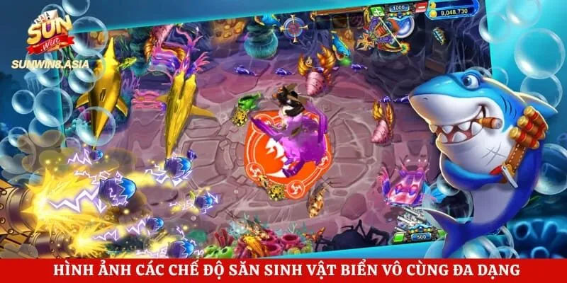 Hình ảnh các chế độ săn sinh vật biển vô cùng đa dạng