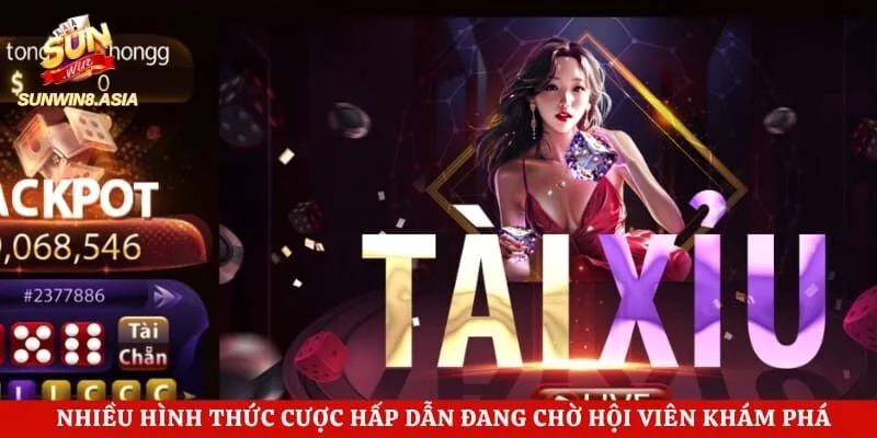 Nhiều hình thức cược hấp dẫn đang chờ hội viên khám phá