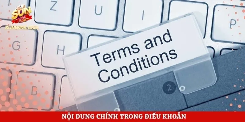 Nội dung chính trong điều khoản